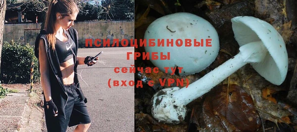 МДМА Пролетарск